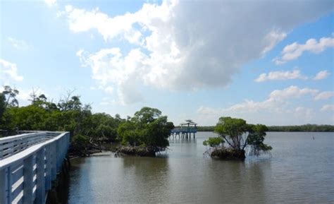 West Lake Park kayaking: A precious bit of nature in Broward