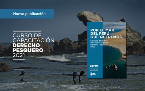 Descarga Pdf Publicaci N De La Spda Recopila Ensayos Sobre Derecho