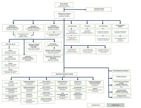 Carta Organisasi Jabatan Kejururawatan Fakulti Perubatan