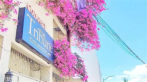 libel wars  daily tribune  spunk