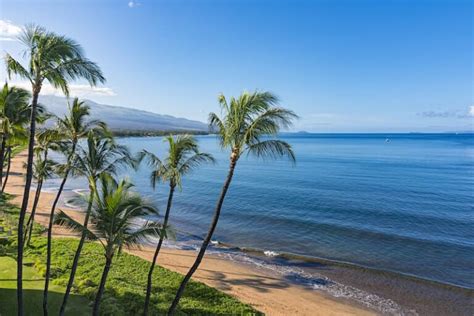 8 Kihei Snorkeling Tours Worth Your Money Best Spots