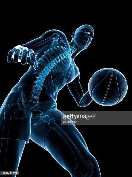 64 Basketball Player Black Background High Res Illustrations - Getty Images