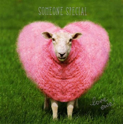 Someone Special Love Ewe Valentines Card Cards