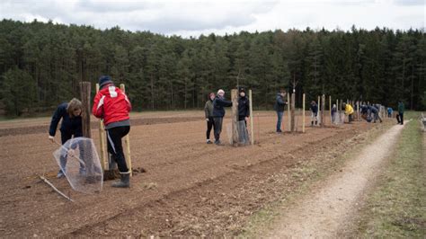 Falsche Farm e V pflanzt 20 Bäume dank Streuobst für alle StMELF