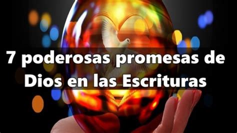 Confía En Dios Imágenes Cristianas Sana Doctrina Videos Cristianos