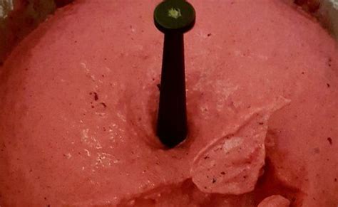 Sorbet Fruits Fraises Ou Framboises Ou Fruits Rouges Recette I