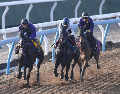 【オークス】ペリファーニア角馬場で2000メートル乗り込み、距離克服へ万全の態勢 3歳馬特集 競馬写真ニュース 日刊スポーツ