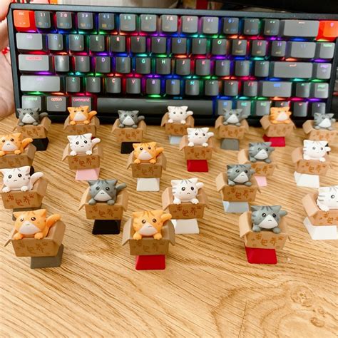 Mua Keycap L H Nh M O Con Trong H P Cat In Box Si U D Th Ng R