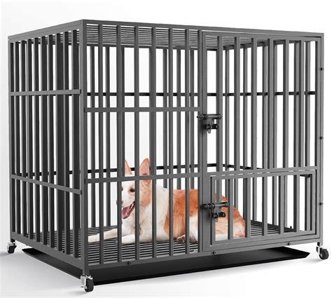 BingoPaw Cage Chien Interieur Solide Caisse De Transport XL Sur