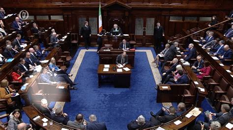 Second Fianna Fáil Td Admits Voting In Another Party Members Name