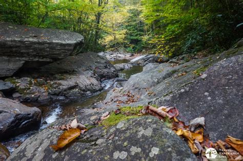 Hiking In Grayson Highlands State Park Virginia Travel Experience Live