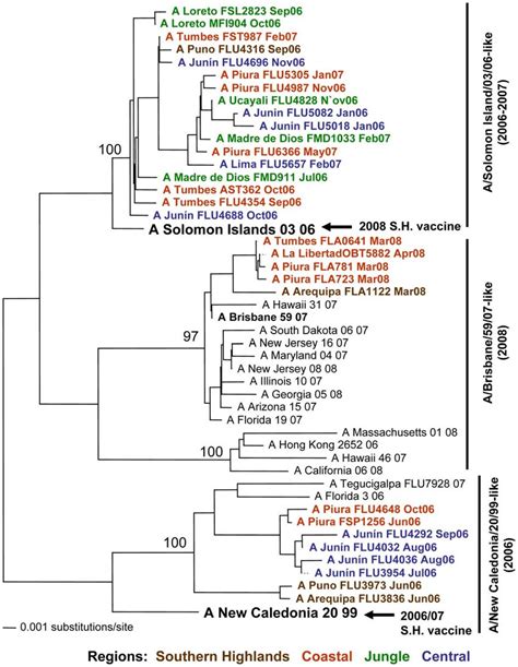 Phylogenetic Tree Based On The Partial Hemagglutinin Ha Sequence Of