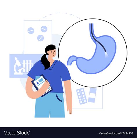 Gastroscopy Endoscopy Procedure Royalty Free Vector Image