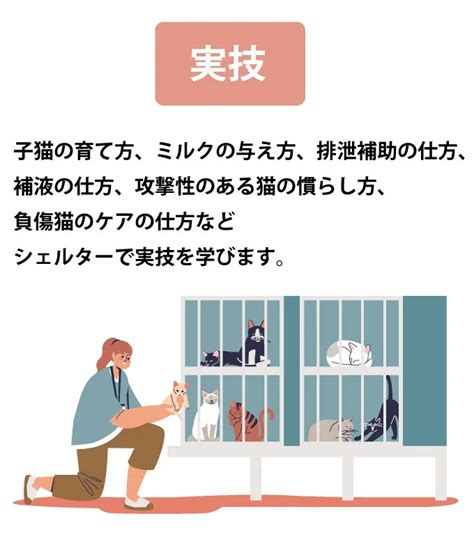 保健所に持ち込まれた猫たちを救う！ 市内に保護猫ボランティア育成施設を作り、猫を救う人材を育成し、殺処分ゼロを目指す！ ネコリパブリック