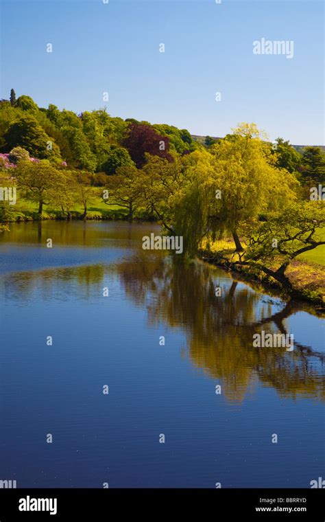 Clumber Park Nottinghamshire Stock Photo Alamy