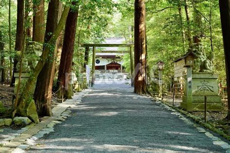 三重 椿大神社 参道と拝殿 No 30062503｜写真素材なら「写真ac」無料（フリー）ダウンロードok