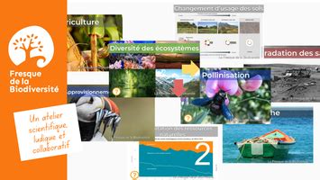 En ligne Fresque Érosion de la biodiversité comprendre et agir