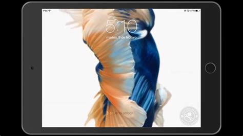 Como Instalar Fondos De Pantalla Animados Ios Y Iphone Ipad Y Ipod