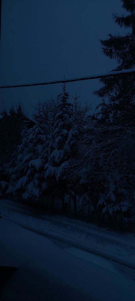 Blue Hour Snowfall Aesthetic