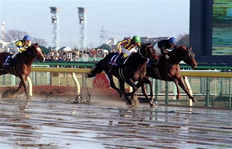 シンコウウインディ死す、30歳 97年g1昇格初年度のフェブラリーs覇者 競馬写真ニュース 日刊スポーツ