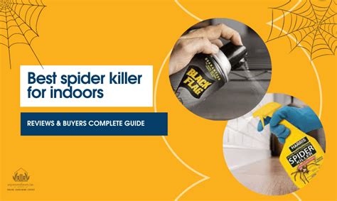 Best Spider Killer For Indoors 2023 Reviews And Buying Guide