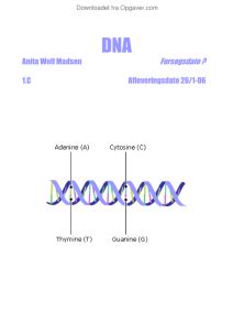 Dna Rapport Biologi Opgaver