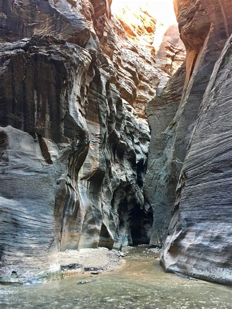 9 Things to Know for the Zion Narrows Hike - Travel Guide for Zion ...