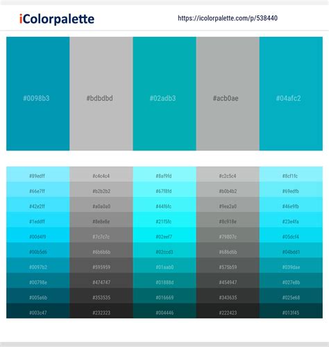 150+ Latest Color Schemes with Pacific Blue Color tone combinations | 2022 | iColorpalette