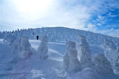 Snow Monsters Of Mt Zao In Yamagata Japan En Ingl S Zao Es Una De