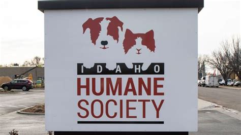 Idaho Humane Society adoption numbers drop due to COVID-19 | KBOI