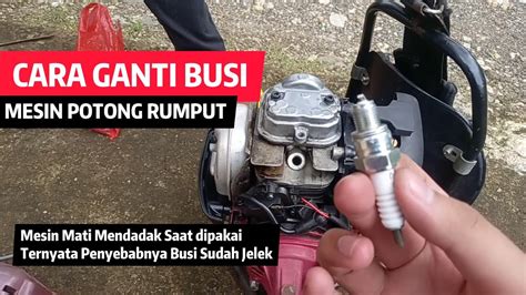 Cara Mudah Ganti Busi Mesin Potong Rumput 4 Tak Merk Matrix BG 435