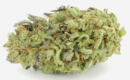 Durban Poison Weed Strain Information | Leafbuyer