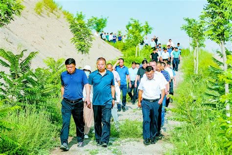 厚植生态底色提升发展成色——石嘴山市建设黄河流域生态保护和高质量发展先行区暨生态建设现场会侧记 宁夏新闻网