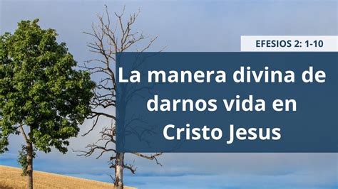 La Manera Divina De Darnos Vida En Cristo Jesus Pastor Jesus Gamez