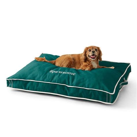 10 Best Dog Bed Covers and Accessories | The Family Handyman