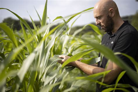 Lagriculture De Conservation Des Sols La Solution Pour Demain