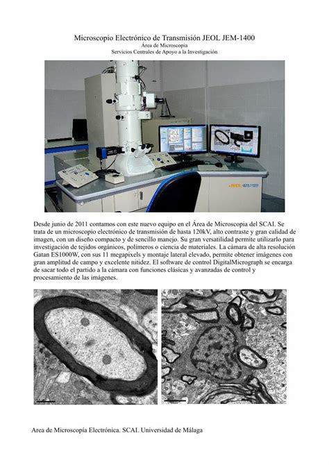 Pdf Microscopio Electr Nico De Transmisi N Jeol Jem Pdfslide Net