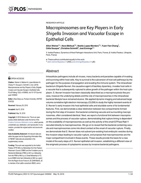 Pdf Macropinosomes Are Key Players In Early Shigella Invasion And Vacuolar Escape In