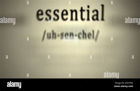 essential stock  footage hd   video clips alamy