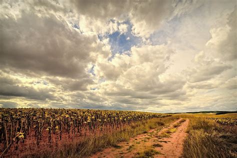 Landscape photo of farm HD wallpaper | Wallpaper Flare