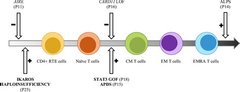 Frontiers Autoimmune Cytopenias And Dysregulated Immunophenotype Act