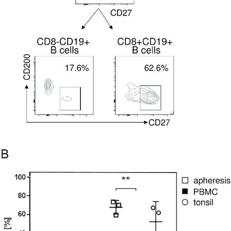 Cd8 Positive B Cells In Human Tonsil A Subsets Were Enumerated From Download Scientific