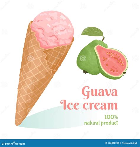 Guava Pink Ice Cream In Waffle Cone Isolated On White Background