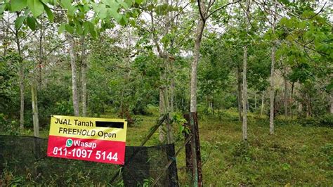 Tanah Pertanian FREEHOLD Non Bumi Depan Jalan Utama Untuk DiJual