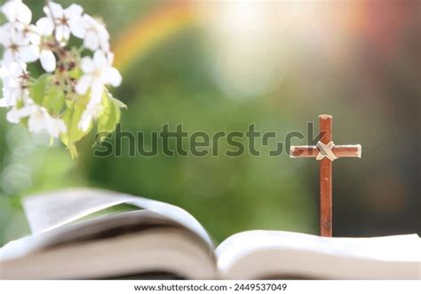 Holy Bible Cross Jesus Christ On Stock Photo 2449537049 Shutterstock