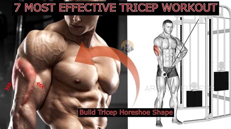 7 Best Tricep Exercises For Bigger Arms How To Build Horseshoe Tricep