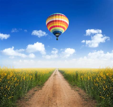 Hot Air Balloon Over Dirt Road Into Yellow Flower Fields With Cl Stock