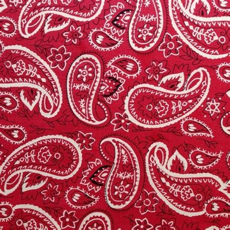 Patternatic Red Bandanna Pattern Paisley Design