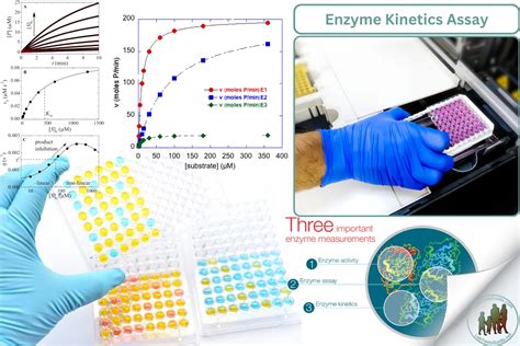 Enzyme Kinetics Assay | Lab Tests Guide