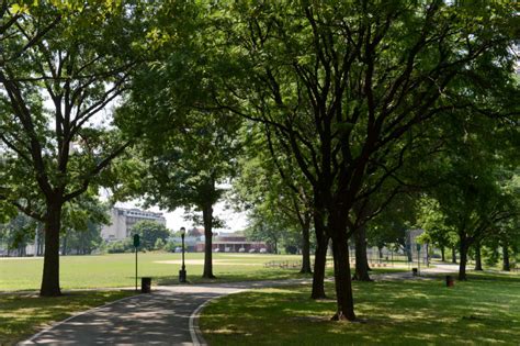 Queensbridge Park Nyc Parks